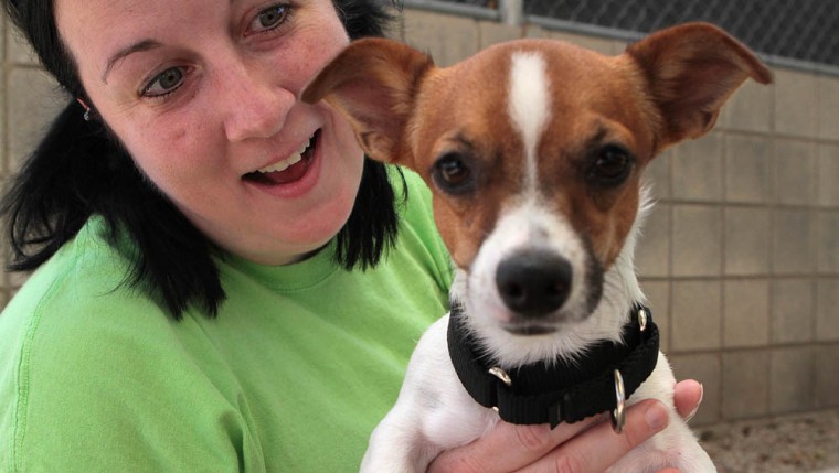 Arizona Animal Welfare League